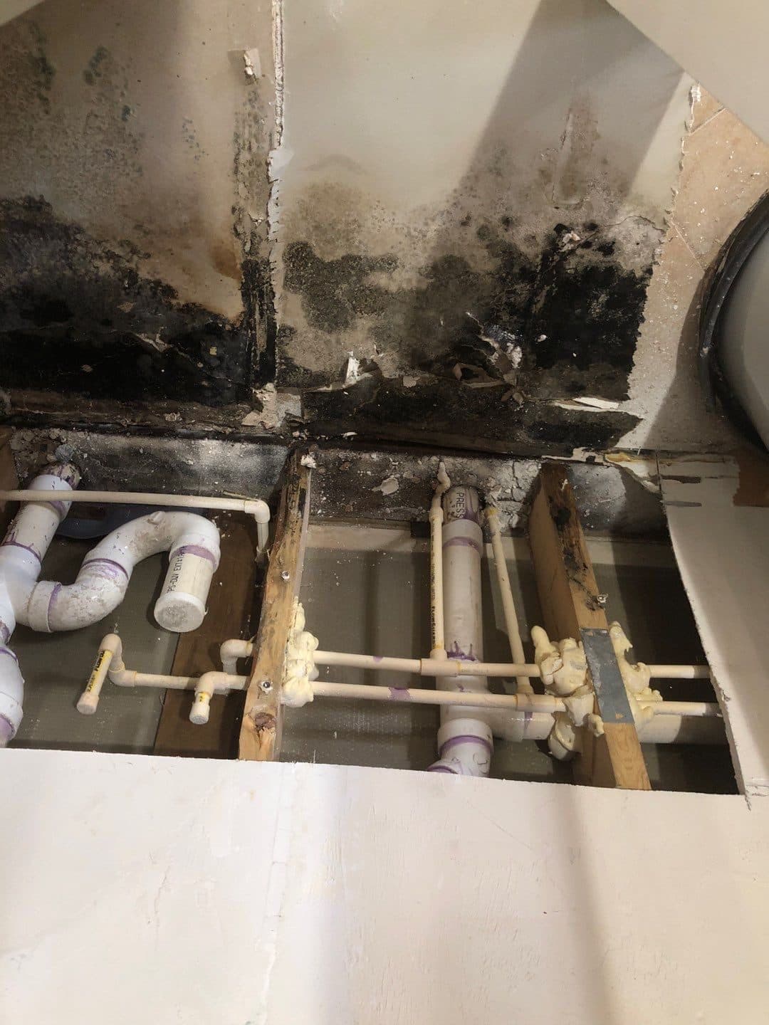 Solano Restorations project 14